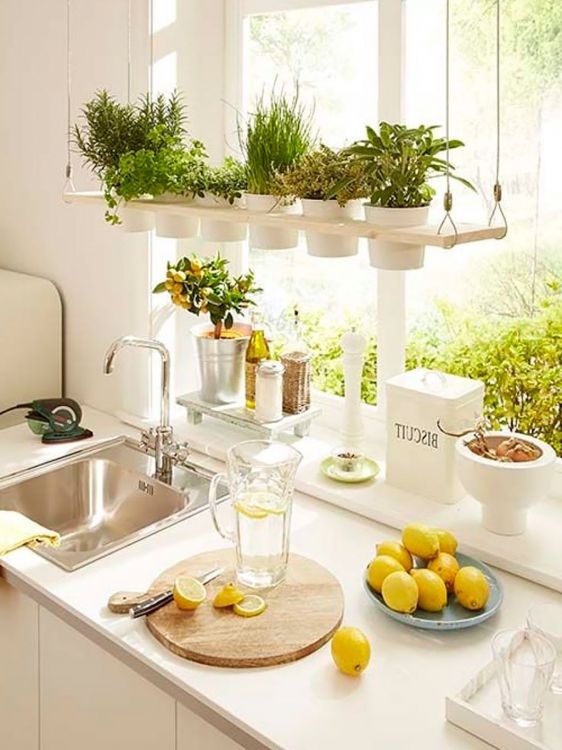 Kitchens decorated with plants: 25 beautiful and inspiring examples