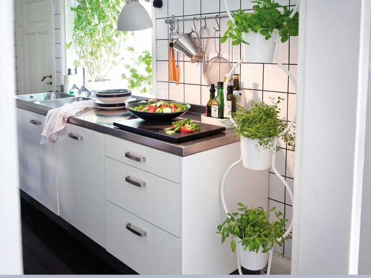 Kitchens decorated with plants: 25 beautiful and inspiring examples