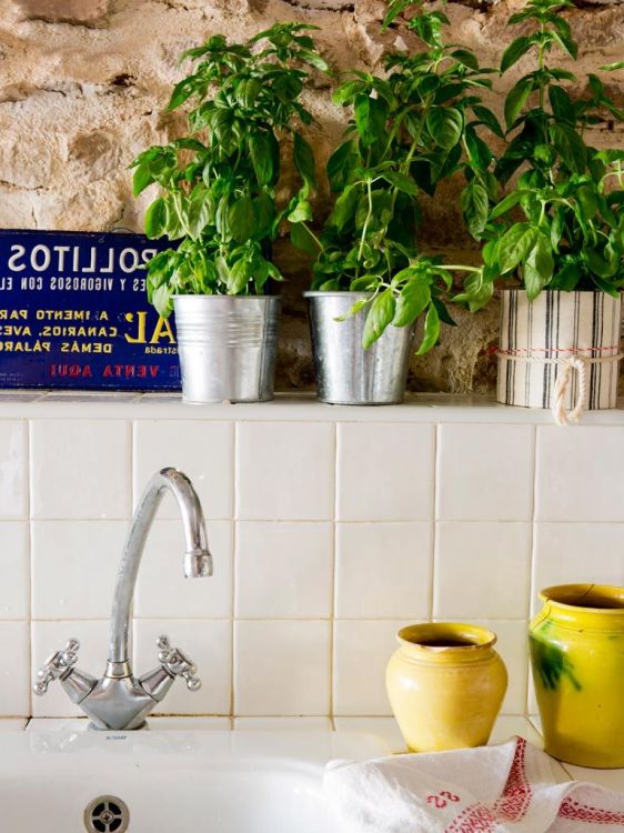 Kitchens decorated with plants: 25 beautiful and inspiring examples