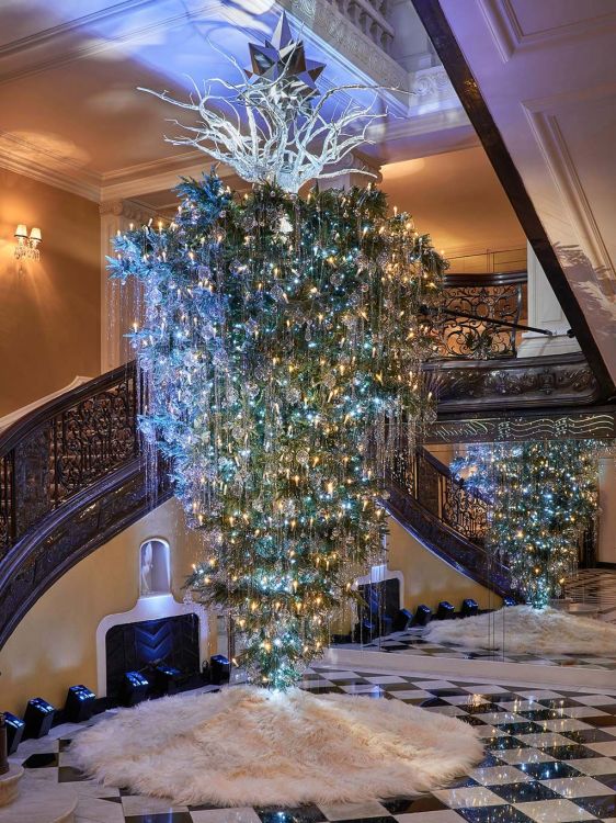 55 Most beautiful Christmas trees to your inspire