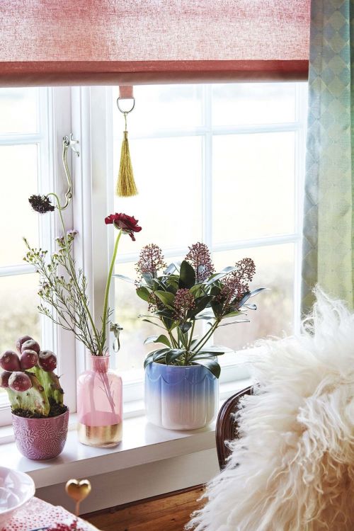 Pretty vases with flowers