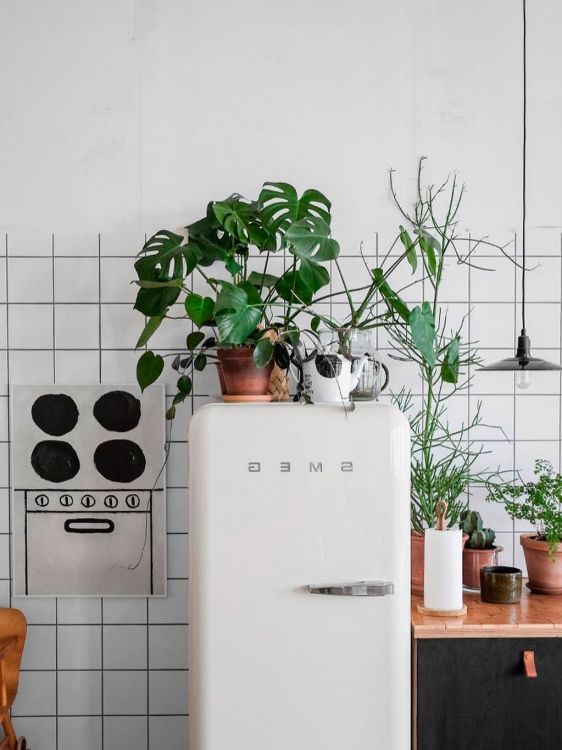 Kitchens decorated with plants: 25 beautiful and inspiring examples