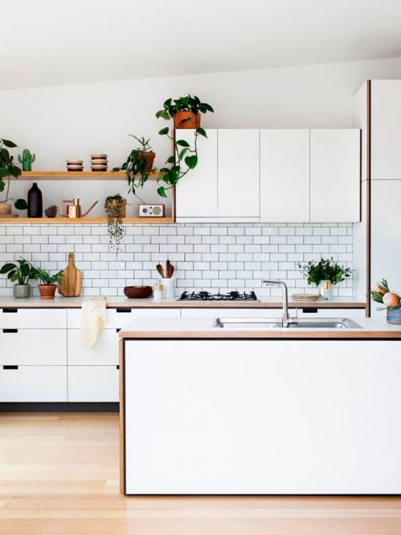 Kitchens decorated with plants: 25 beautiful and inspiring examples