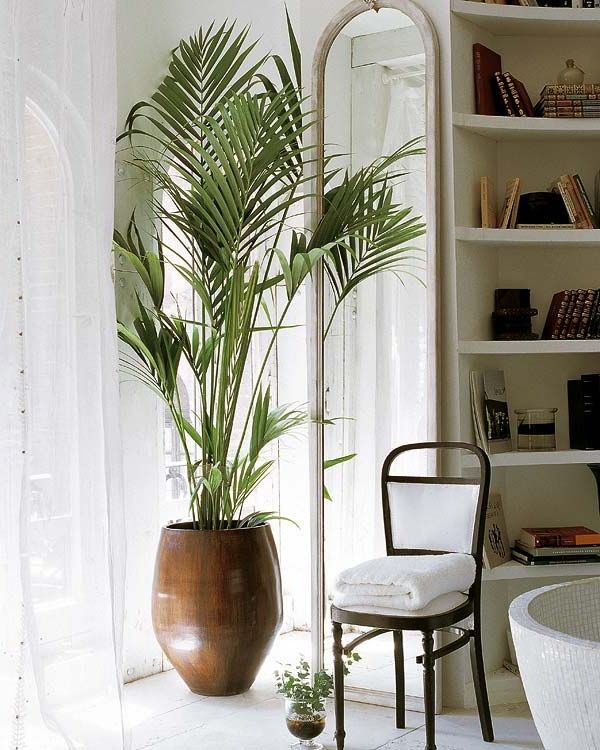 Decorate personal spaces with plants
