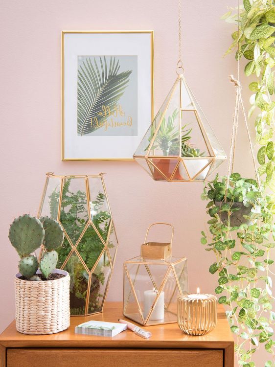 Ideas to decorate your living room for spring Plants, flowers and lots of color!