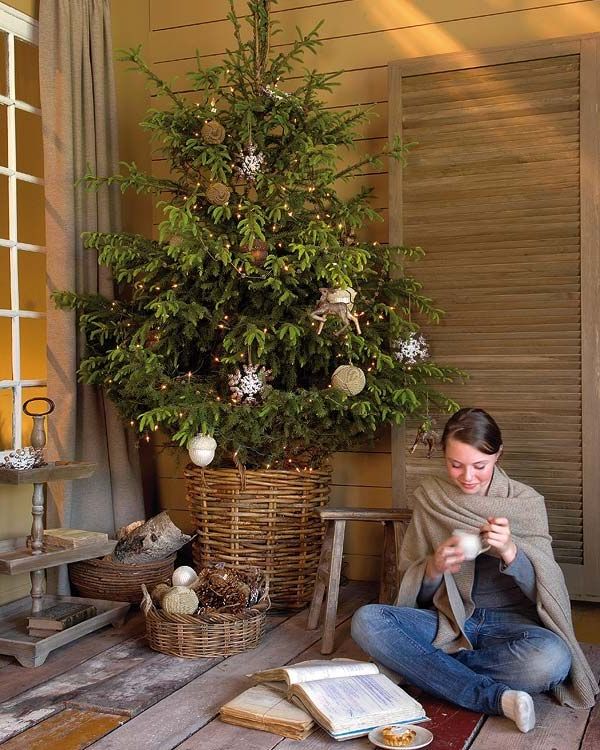 How to build a Christmas tree from scratch