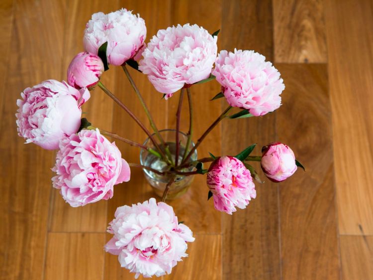 15 tricks to fix the flowers and make them pretty