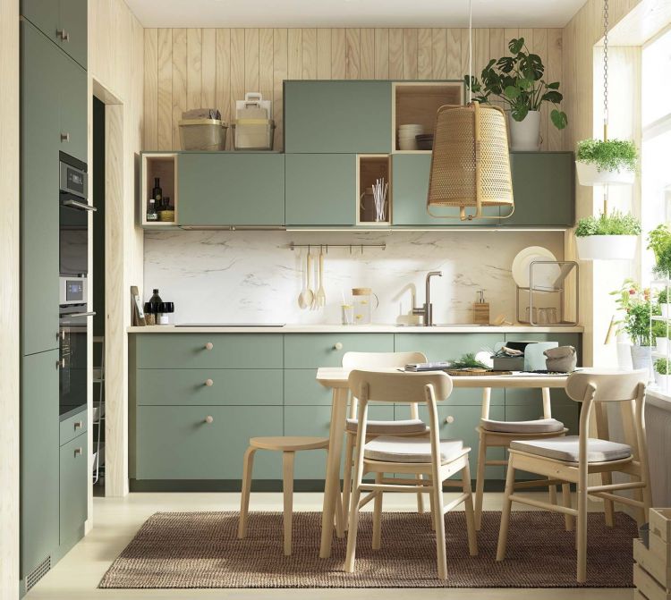 Kitchens decorated by Plants: 25 beautiful and inspiring ideas