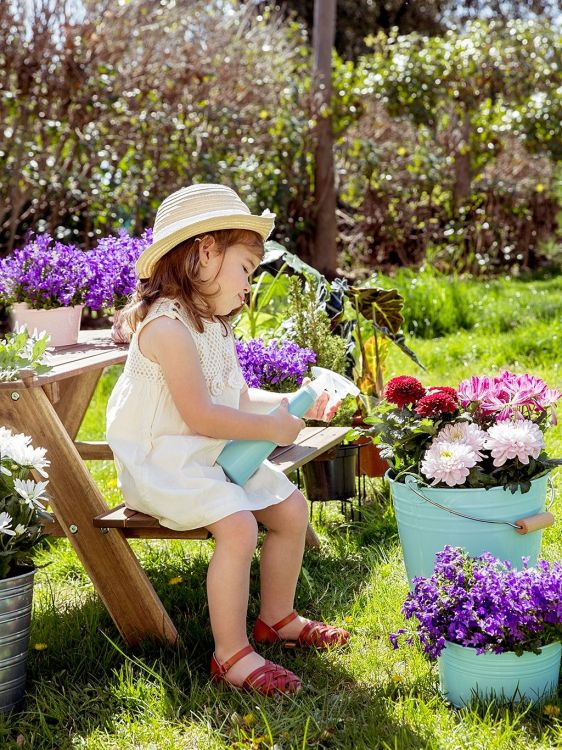 Party garden: How to organize a garden party for the little ones