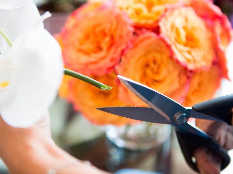 15 tricks to fix the flowers and make them pretty