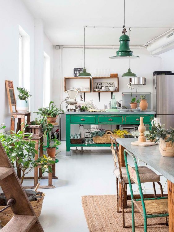 Kitchens decorated with plants: 25 beautiful and inspiring examples