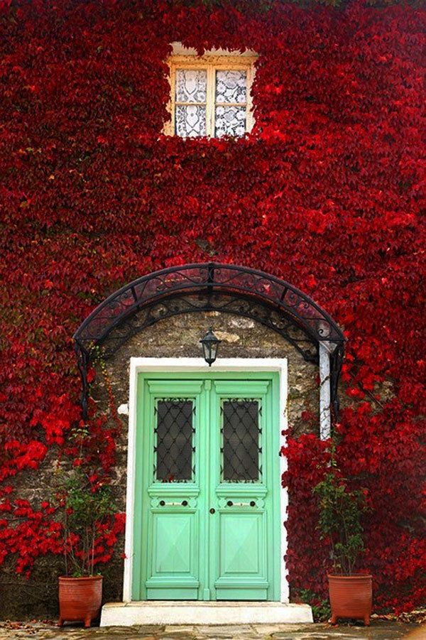 Green main doors