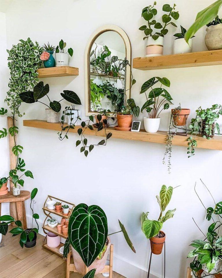 Shelves for pots