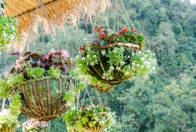 hanging pots