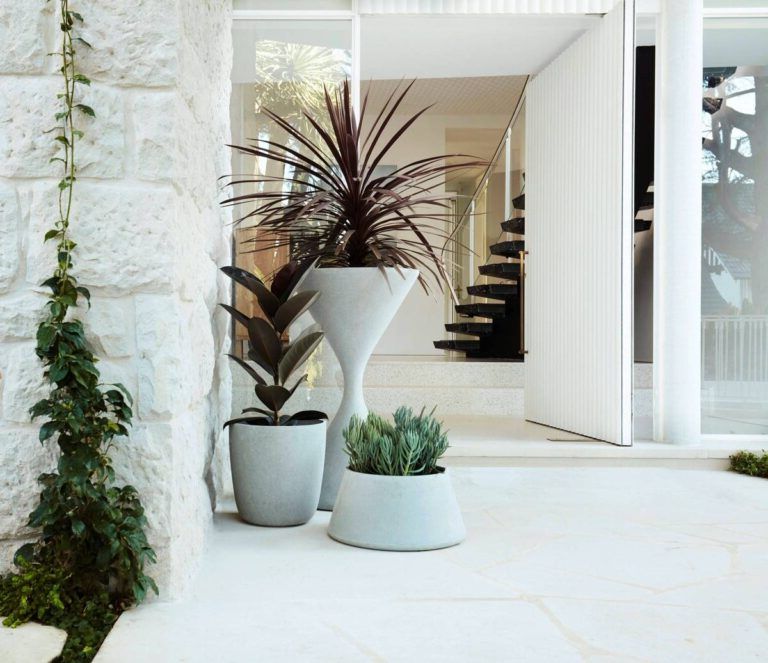 Decorative pots for the main entrance