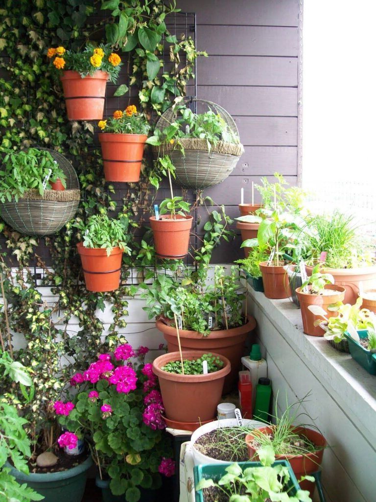 Vertical gardens