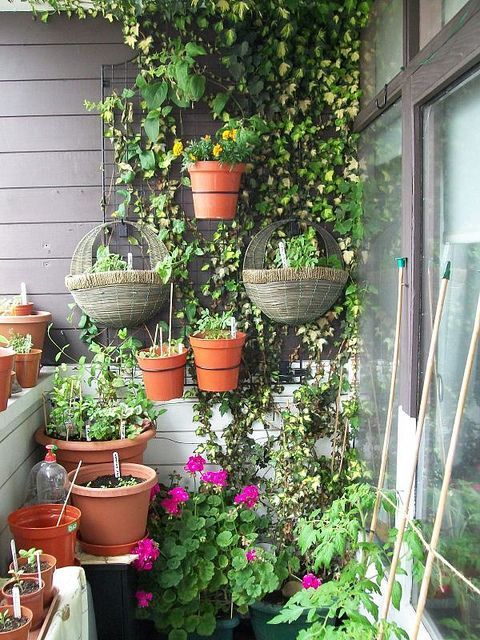 hanging pots