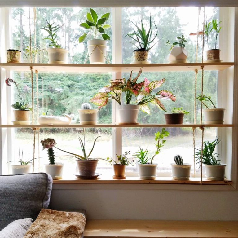 Shelves for pots