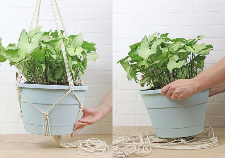 Simple macramé flower pot hanger
