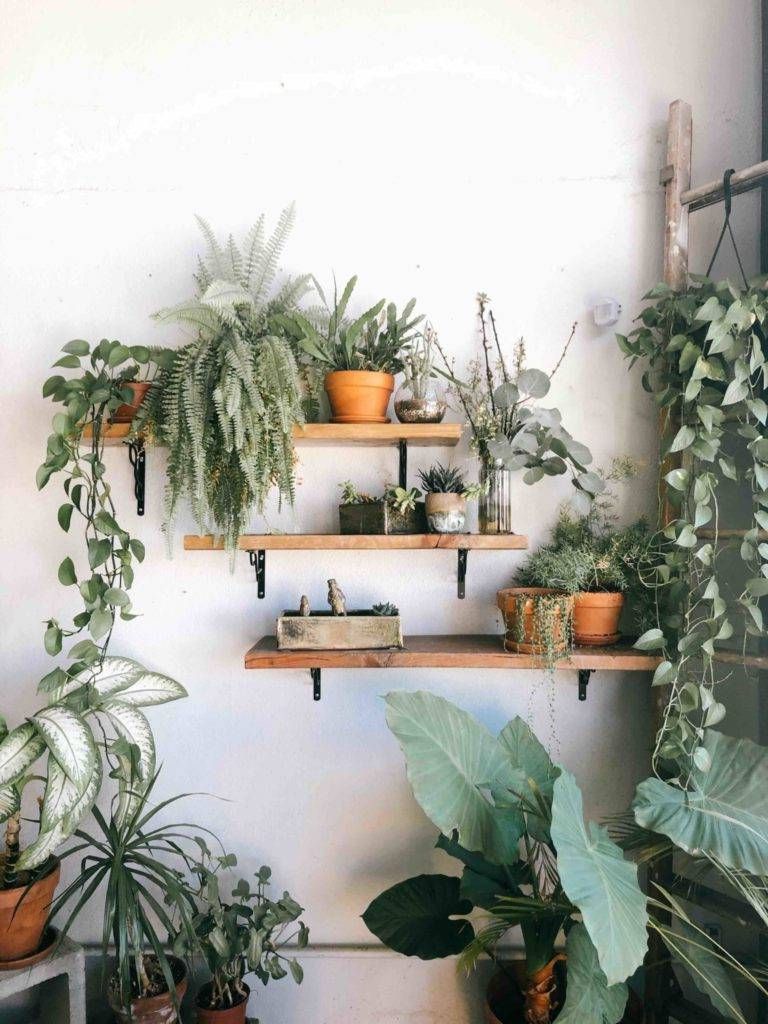 Shelves for pots