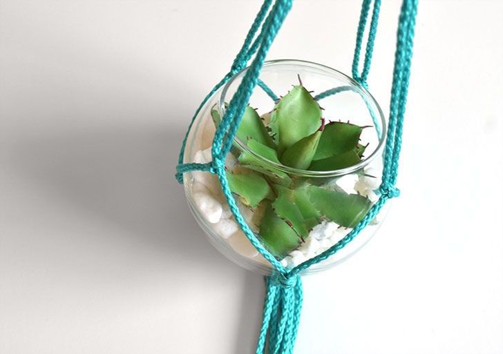 Hanging glass and macramé planters