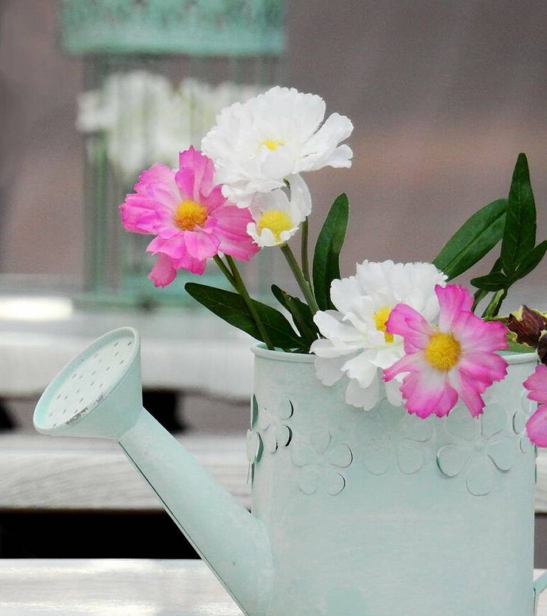 Pots made from watering cans