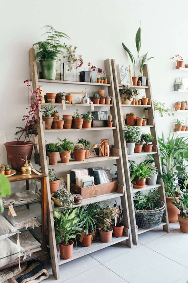 Shelves for pots