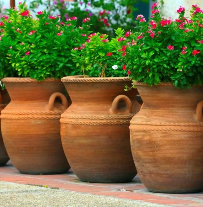 large decorative pots