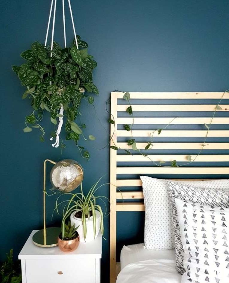 Hanging planter with wooden base