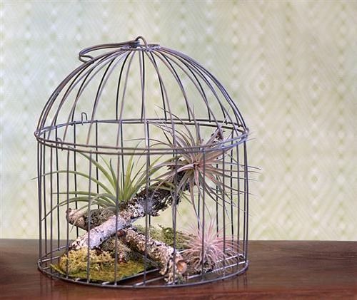 Recycled Crafts With Cages