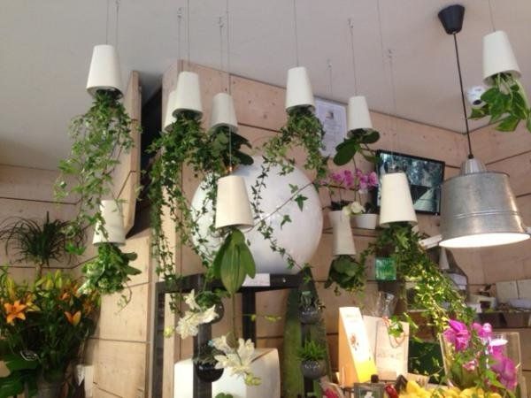 Decoration with hanging plants