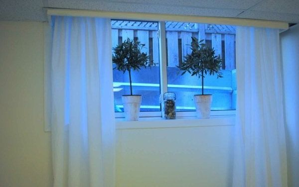 Decoration with plants in the windows