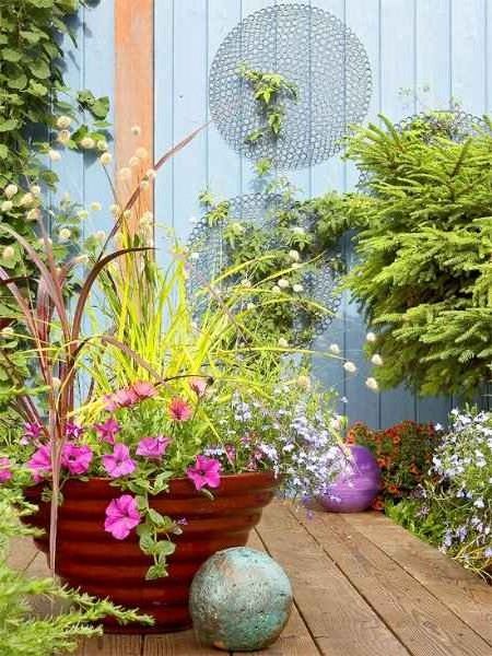 Plants in the decoration of gardens and patios