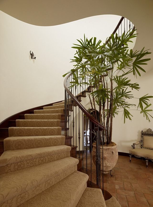 Plants decorating stairs
