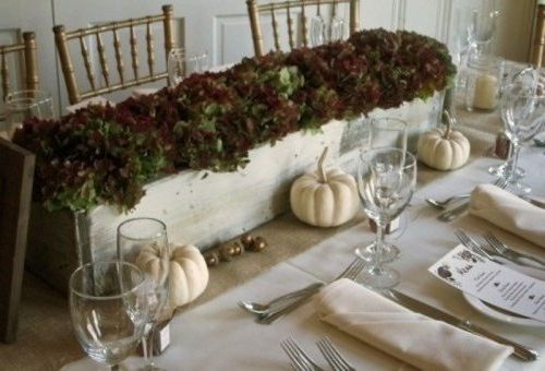 Centerpieces for fall or winter