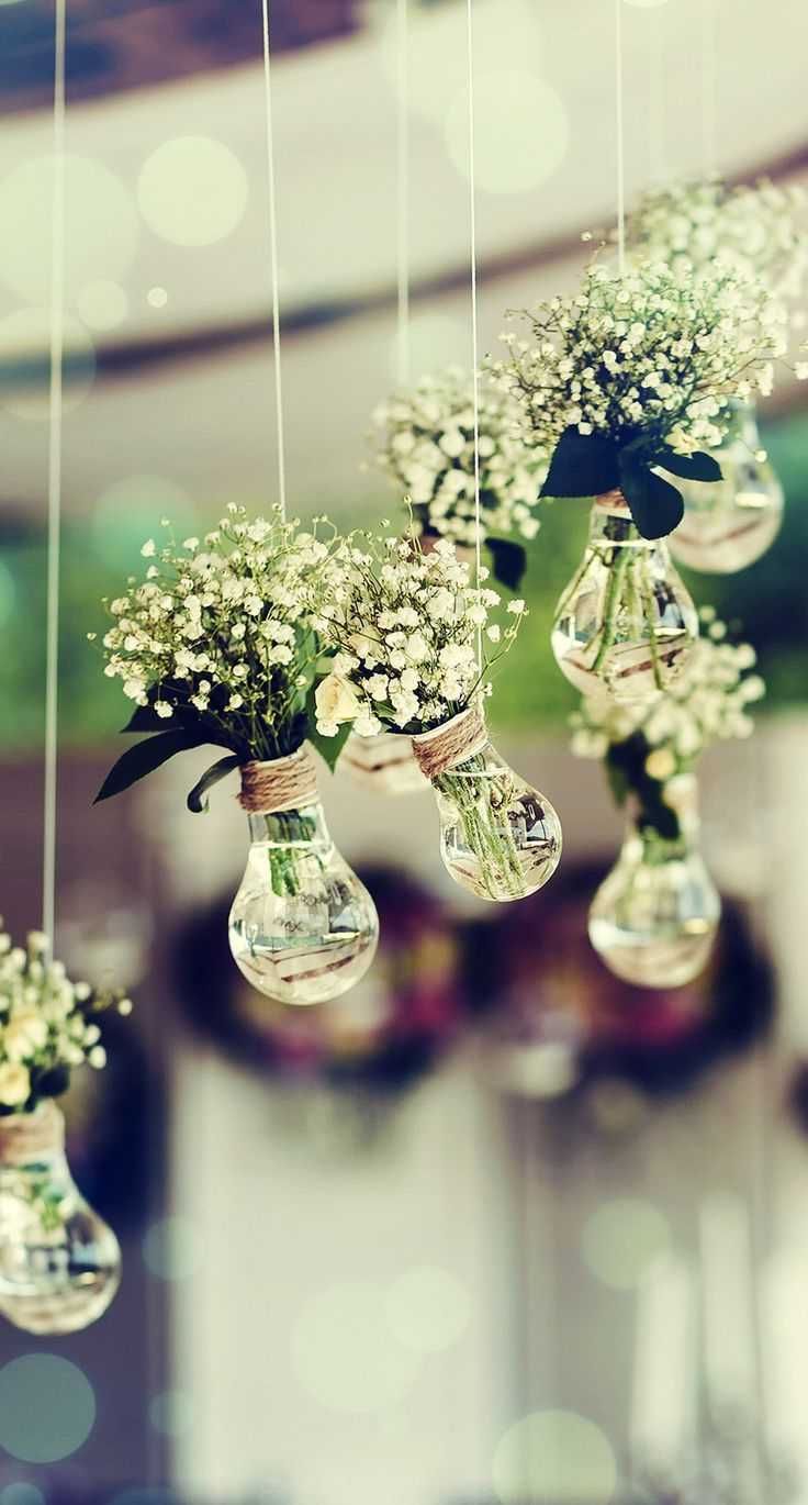 light bulb vases