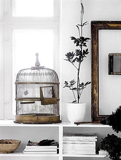 Recycled Crafts With Cages