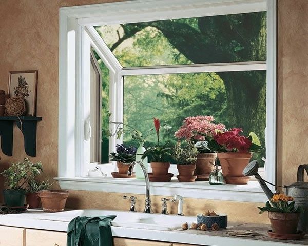 Decoration with plants in the windows