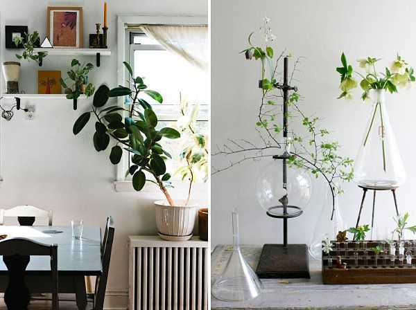 Decoration with plants on tables or supports