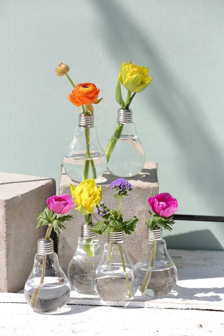 light bulb vases