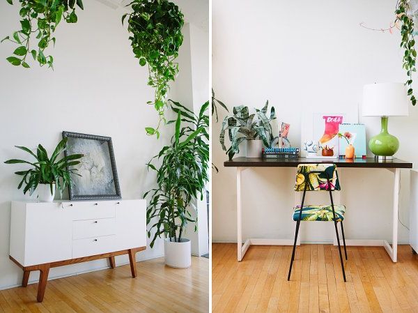 Decoration with plants on tables or supports