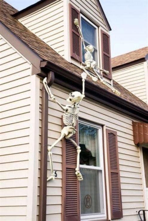 Halloween decoration with skeletons and skulls