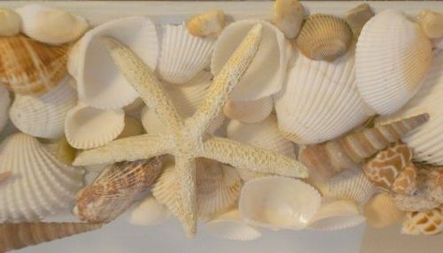 Mirror decoration with snails and shells