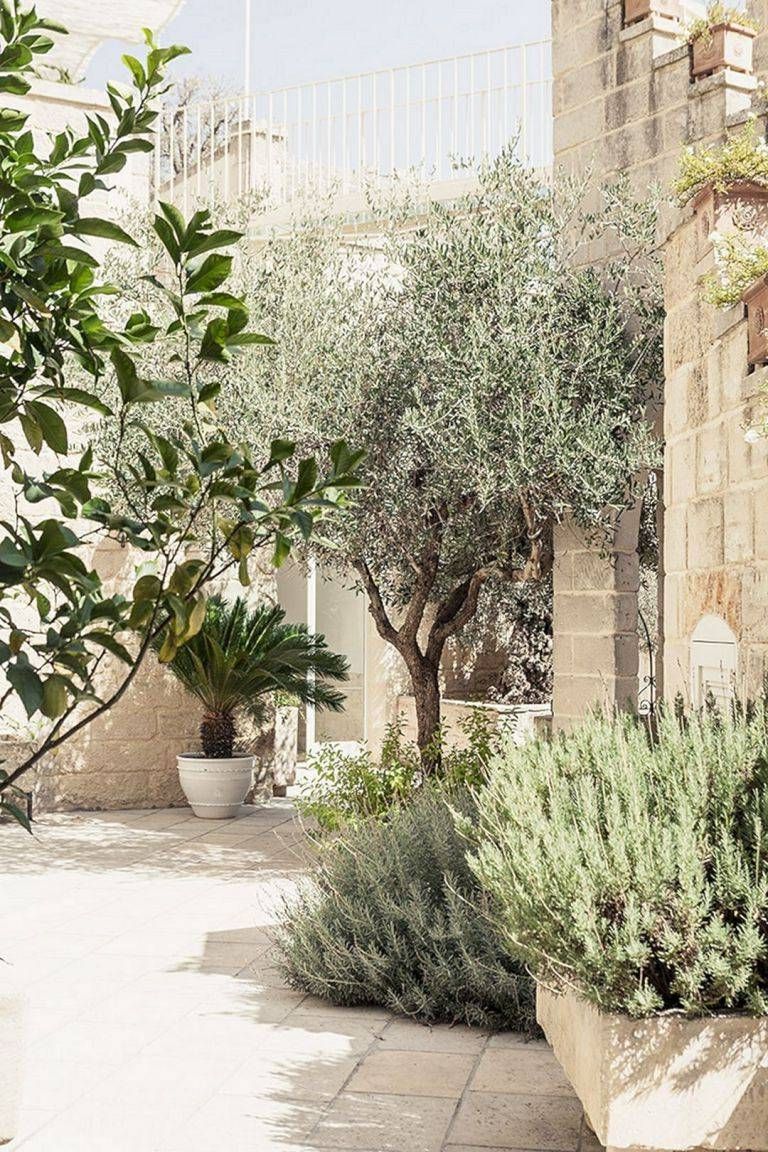 Patios and gardens of Mediterranean houses