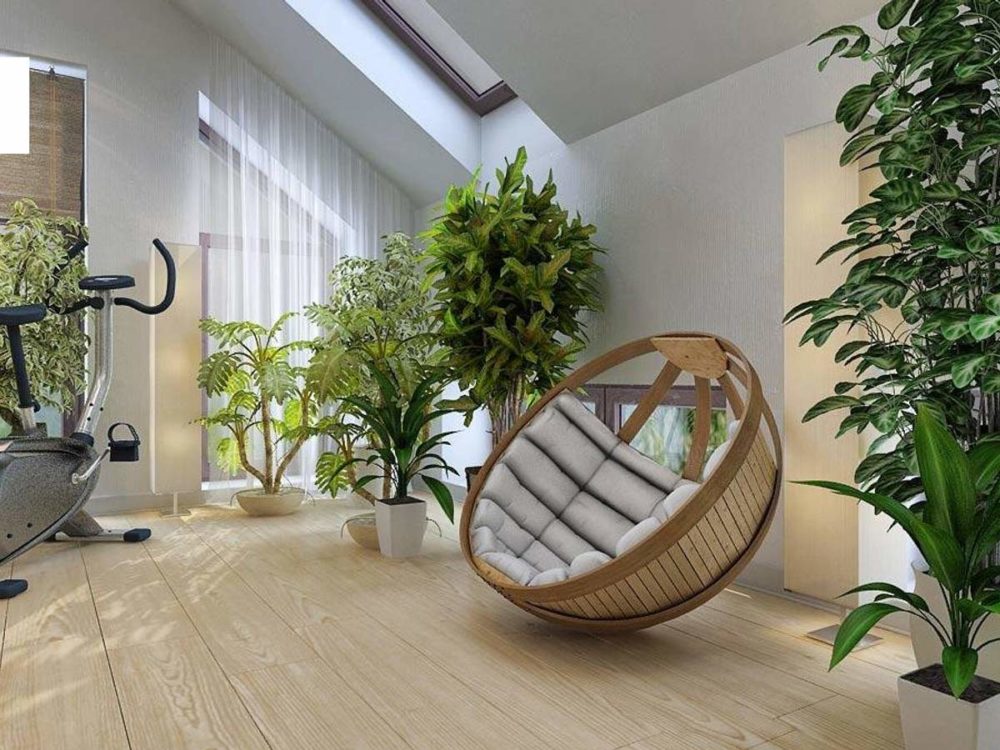 Decorate house corners with Plants: 30 great ideas