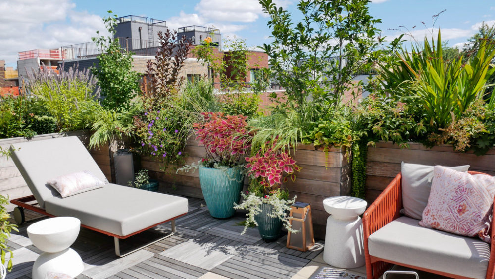 Garden terrace look like wild beach