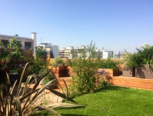 5_1 Wooden terrace with tropical plants