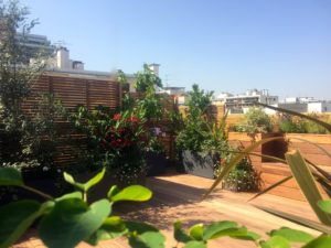 5_2 Wooden terrace with tropical plants