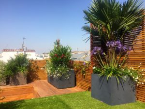 5_5 Wooden terrace with tropical plants