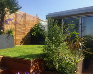 5_6 Wooden terrace with tropical plants
